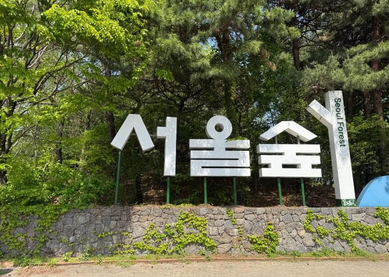 성수동 투어 코스 대표 이미지